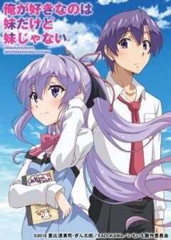 俺が好きなのは妹だけど妹じゃない